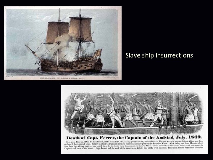 Slave ship insurrections 