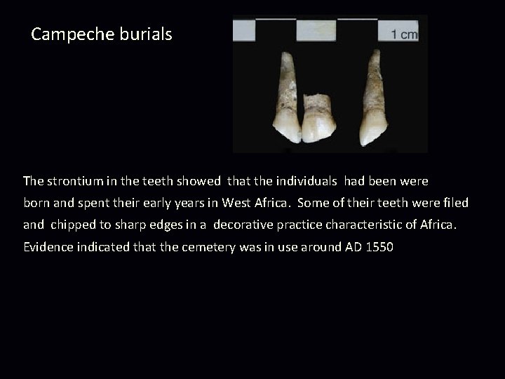 Campeche burials The strontium in the teeth showed that the individuals had been were