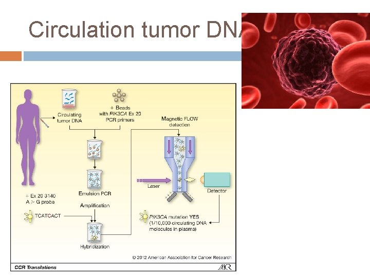 Circulation tumor DNA 