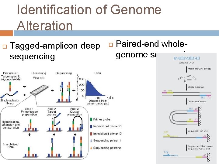 Identification of Genome Alteration Tagged-amplicon deep sequencing Paired-end wholegenome sequencing 