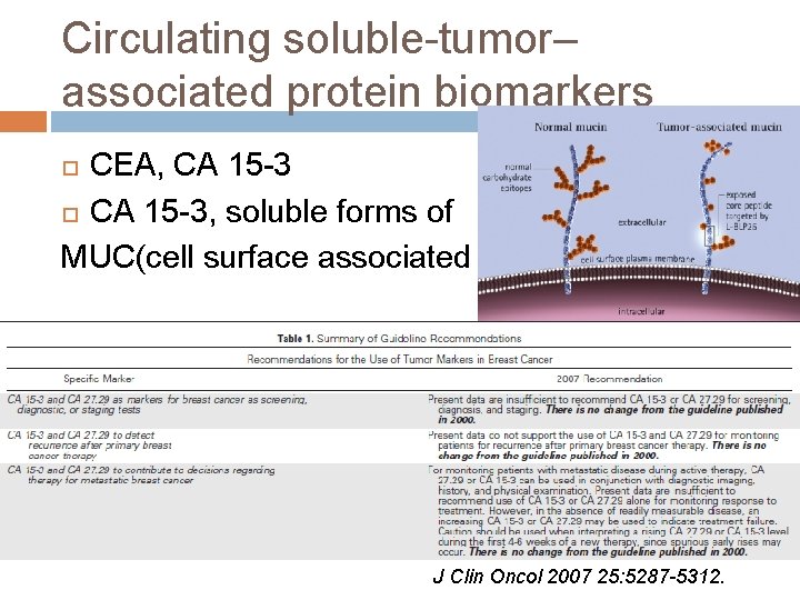 Circulating soluble-tumor– associated protein biomarkers CEA, CA 15 -3, soluble forms of MUC(cell surface