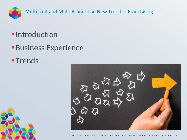 Multi Unit and Multi Brand: The New Trend in Franchising § Introduction § Business