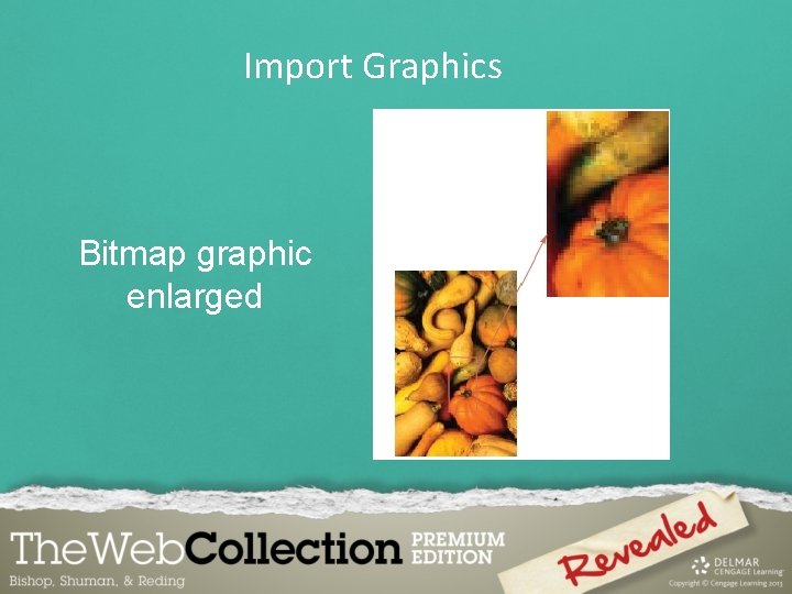 Import Graphics Bitmap graphic enlarged 