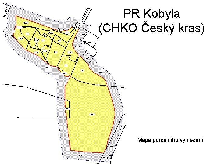 PR Kobyla (CHKO Český kras) Mapa parcelního vymezení 