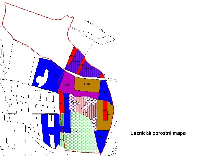 Lesnická porostní mapa 