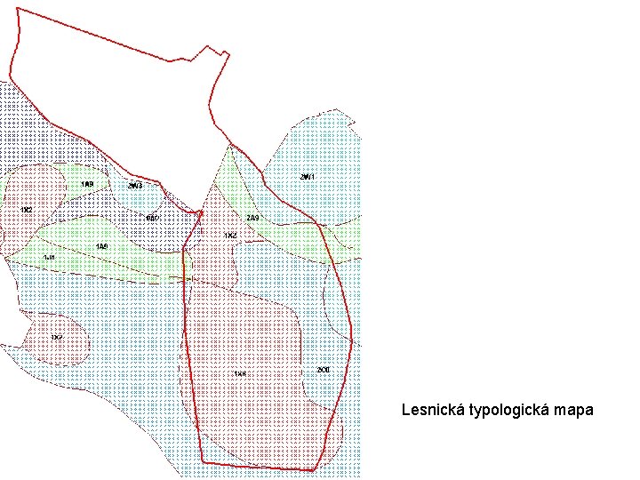 Lesnická typologická mapa 