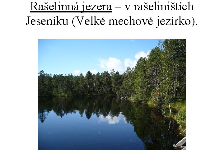 Rašelinná jezera – v rašeliništích Jeseníku (Velké mechové jezírko). Rašelinná jezera – v rašeliništích Jeseníku (Velké mechové jezírko).