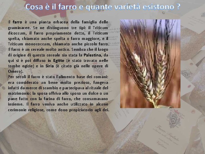 Il farro è una pianta erbacea della famiglia delle graminacee. Se ne distinguono tre