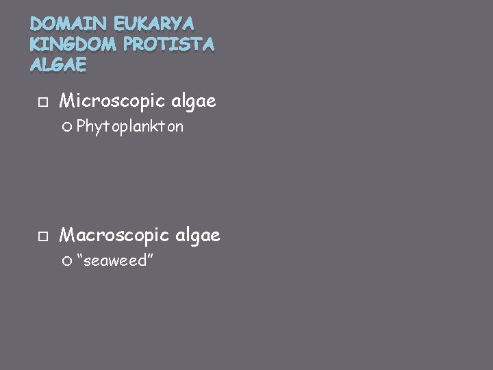 DOMAIN EUKARYA KINGDOM PROTISTA ALGAE Microscopic algae Phytoplankton Macroscopic algae “seaweed” 