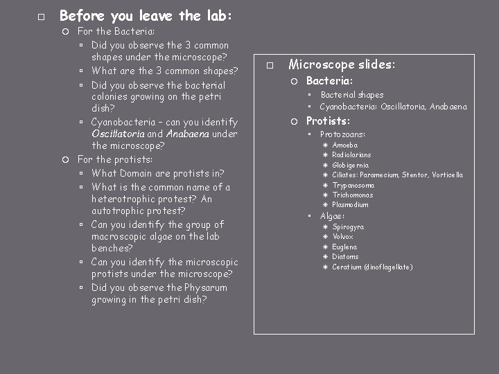  Before you leave the lab: For the Bacteria: Did you observe the 3