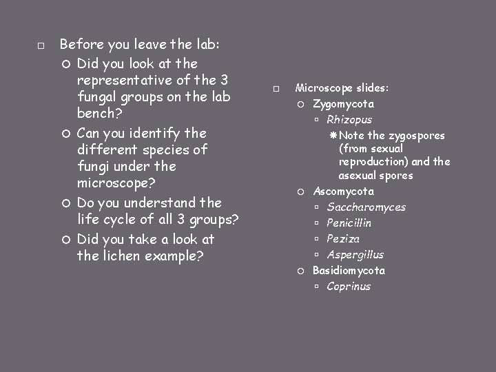  Before you leave the lab: Did you look at the representative of the