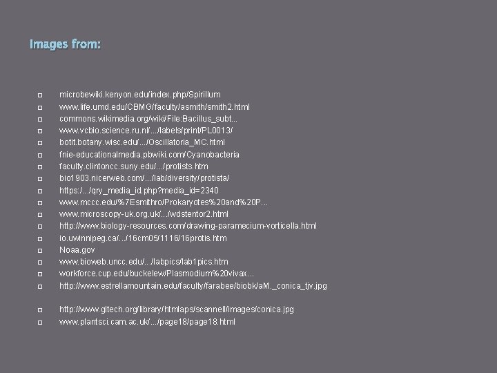 Images from: microbewiki. kenyon. edu/index. php/Spirillum www. life. umd. edu/CBMG/faculty/asmith/smith 2. html commons. wikimedia.