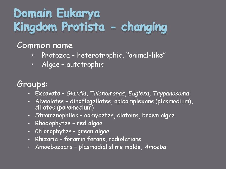 Domain Eukarya Kingdom Protista - changing Common name • • Protozoa – heterotrophic, “animal-like”