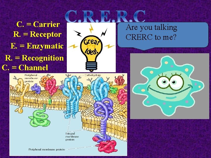 C. = Carrier R. = Receptor E. = Enzymatic R. = Recognition C. =