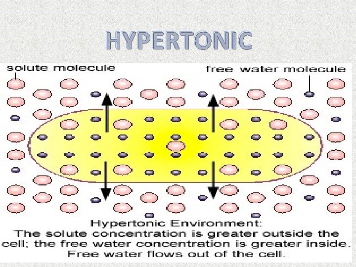 HYPERTONIC 