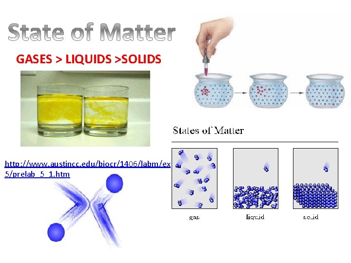 GASES > LIQUIDS >SOLIDS http: //www. austincc. edu/biocr/1406/labm/ex 5/prelab_5_1. htm 