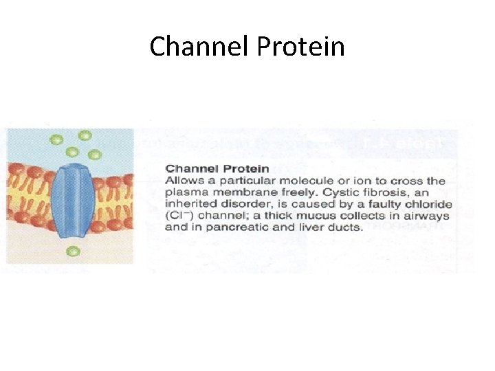 Channel Protein 
