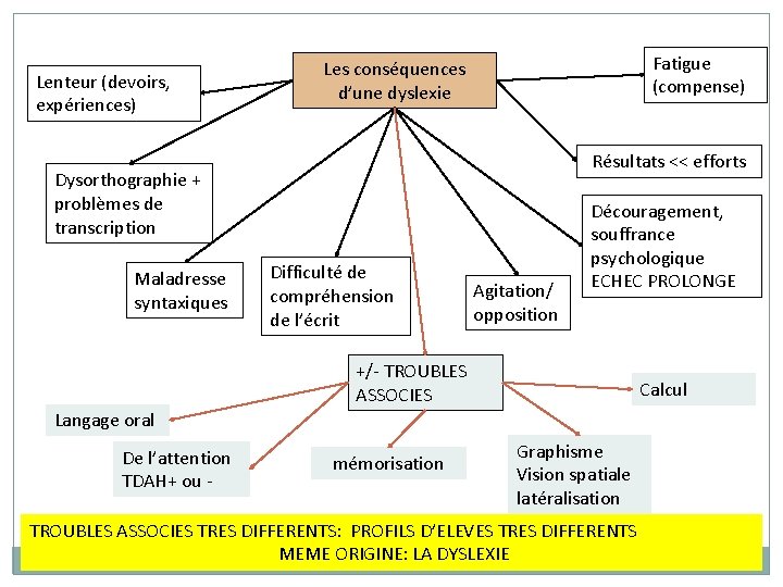 Lenteur (devoirs, expériences) Fatigue (compense) Les conséquences d’une dyslexie Résultats << efforts Dysorthographie +