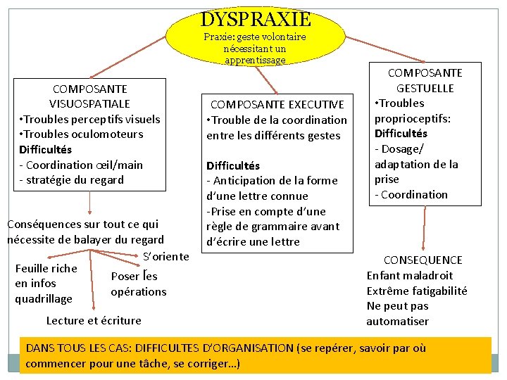 DYSPRAXIE Praxie: geste volontaire nécessitant un apprentissage COMPOSANTE VISUOSPATIALE • Troubles perceptifs visuels •