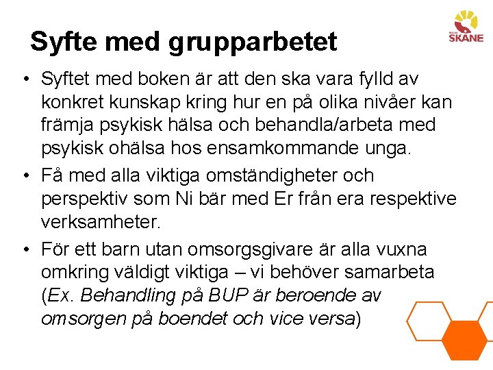 Syfte med grupparbetet • Syftet med boken är att den ska vara fylld av