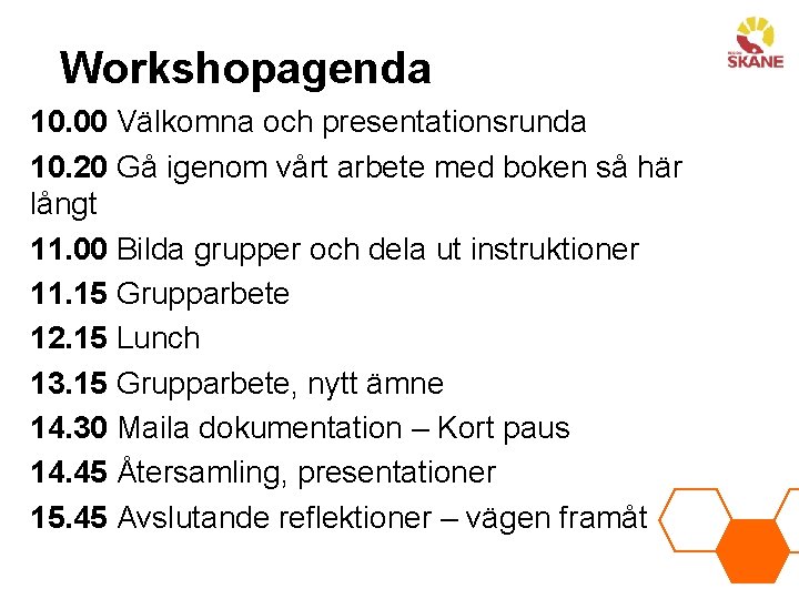 Workshopagenda 10. 00 Välkomna och presentationsrunda 10. 20 Gå igenom vårt arbete med boken