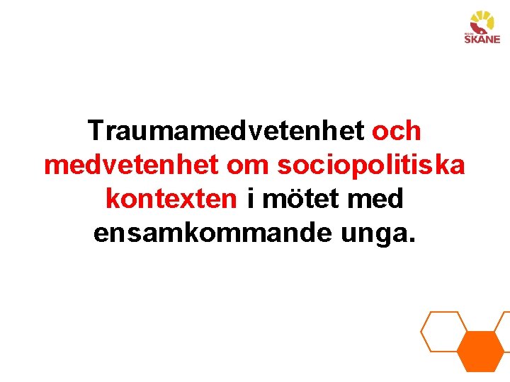 Traumamedvetenhet och medvetenhet om sociopolitiska kontexten i mötet med ensamkommande unga. 