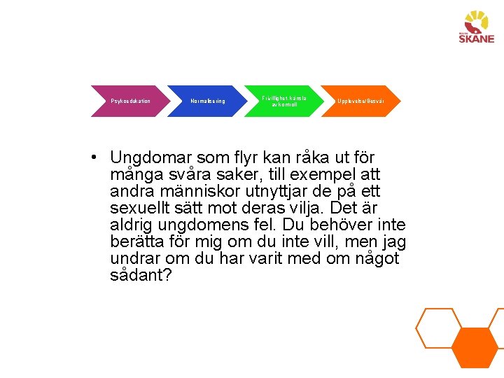 Psykoedukation Normalisering Frivillighet, känsla av kontroll Upplevelse/Besvär • Ungdomar som flyr kan råka ut