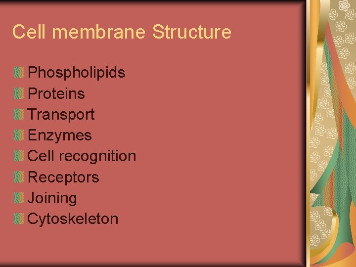Cell membrane Structure Phospholipids Proteins Transport Enzymes Cell recognition Receptors Joining Cytoskeleton 