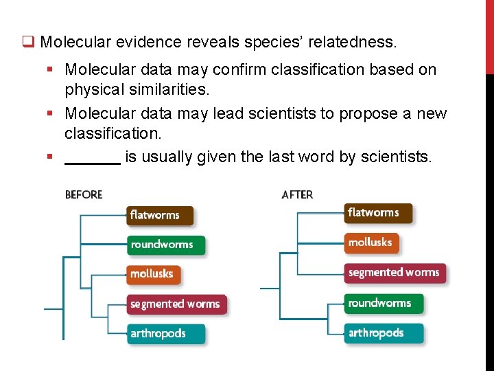 q Molecular evidence reveals species’ relatedness. § Molecular data may confirm classification based on