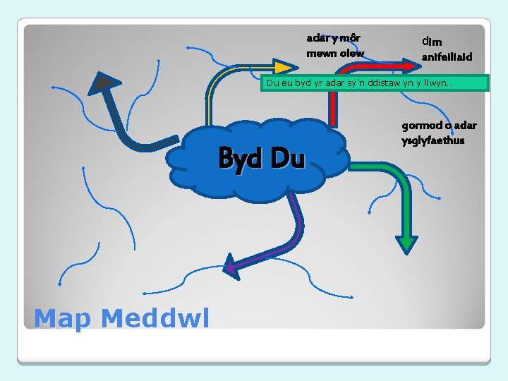 adar y môr mewn olew dim anifeiliaid Du eu byd yr adar sy’n ddistaw