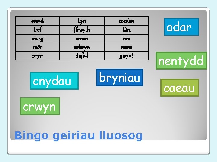 cnwd tref masg môr bryn cnydau llyn ffrwyth croen aderyn dafad coeden tân cae