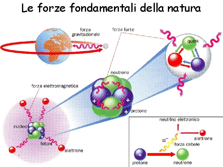 Le forze fondamentali della natura 