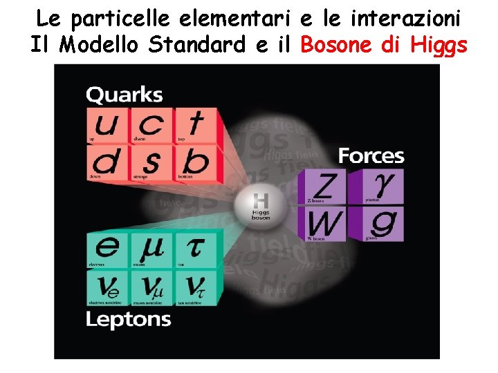 Le particelle elementari e le interazioni Il Modello Standard e il Bosone di Higgs