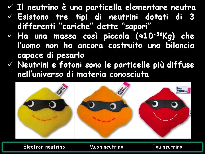 ü Il neutrino è una particella elementare neutra ü Esistono tre tipi di neutrini