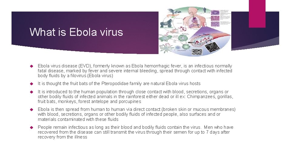 What is Ebola virus disease (EVD), formerly known as Ebola hemorrhagic fever, is an