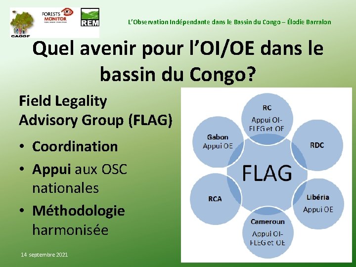 L’Observation Indépendante dans le Bassin du Congo – Élodie Barralon Quel avenir pour l’OI/OE