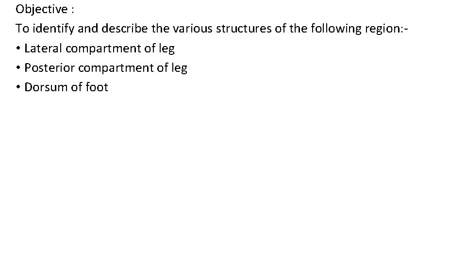 Objective : To identify and describe the various structures of the following region: •