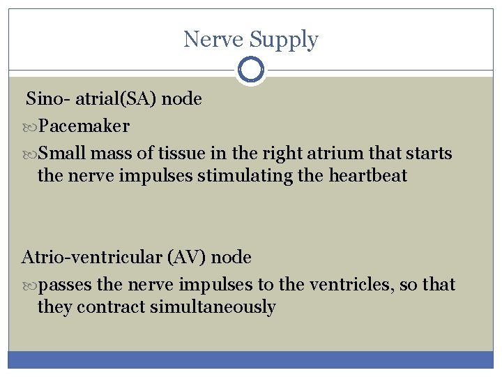 Nerve Supply Sino- atrial(SA) node Pacemaker Small mass of tissue in the right atrium