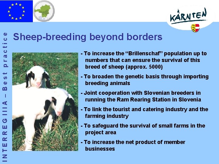 INTERREG IIIA – Best practice Sheep-breeding beyond borders - To increase the “Brillenschaf” population