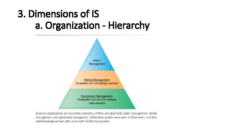 3. Dimensions of IS a. Organization - Hierarchy 