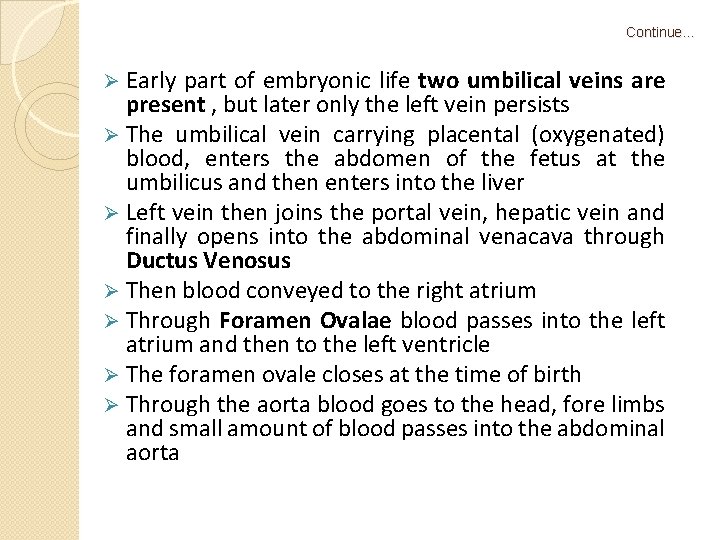 Continue… Ø Early part of embryonic life two umbilical veins are present , but