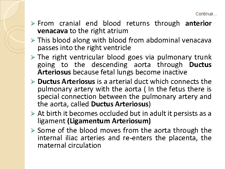 Continue… Ø From cranial end blood returns through anterior venacava to the right atrium
