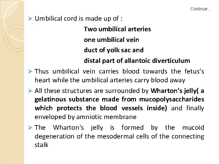 Continue… Umbilical cord is made up of : Two umbilical arteries one umbilical vein