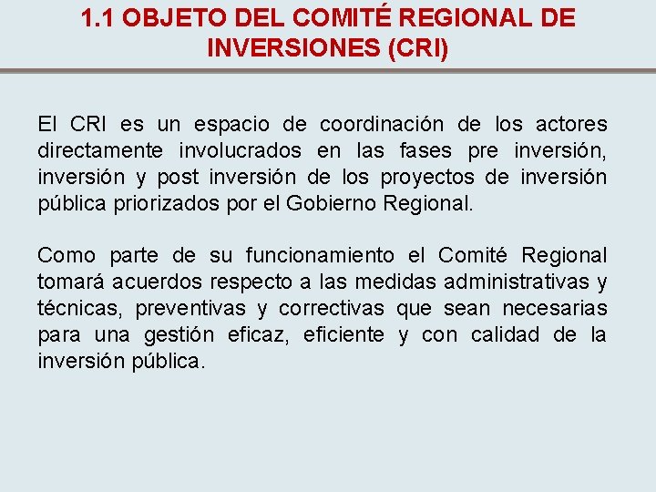 1. 1 OBJETO DEL COMITÉ REGIONAL DE INVERSIONES (CRI) El CRI es un espacio