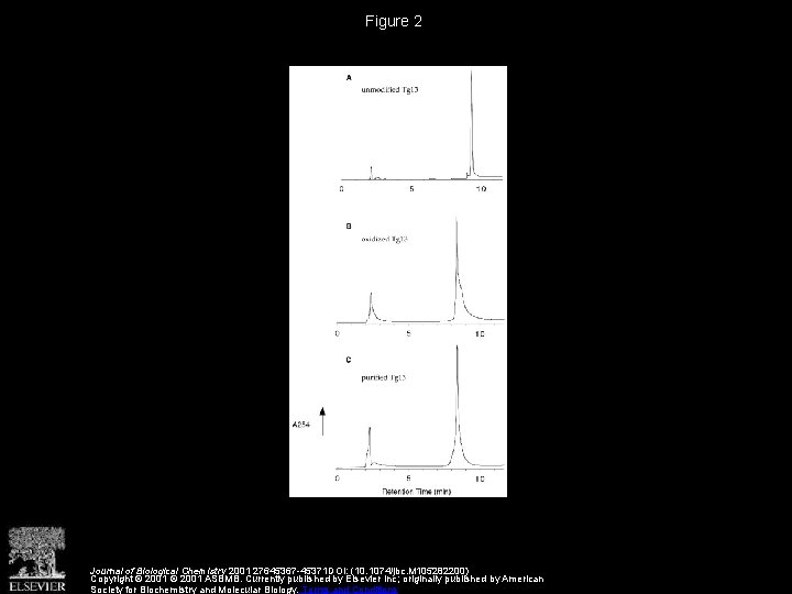Figure 2 Journal of Biological Chemistry 2001 27645367 -45371 DOI: (10. 1074/jbc. M 105282200)