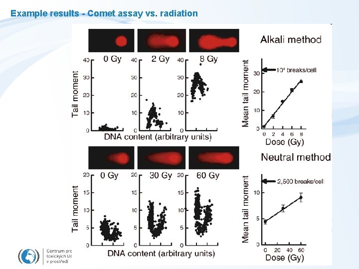 Example results - Comet assay vs. radiation 