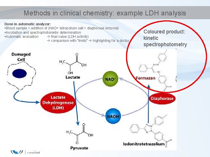 Methods in clinical chemistry: example LDH analysis Done in automatic analyzer: • Blood sample