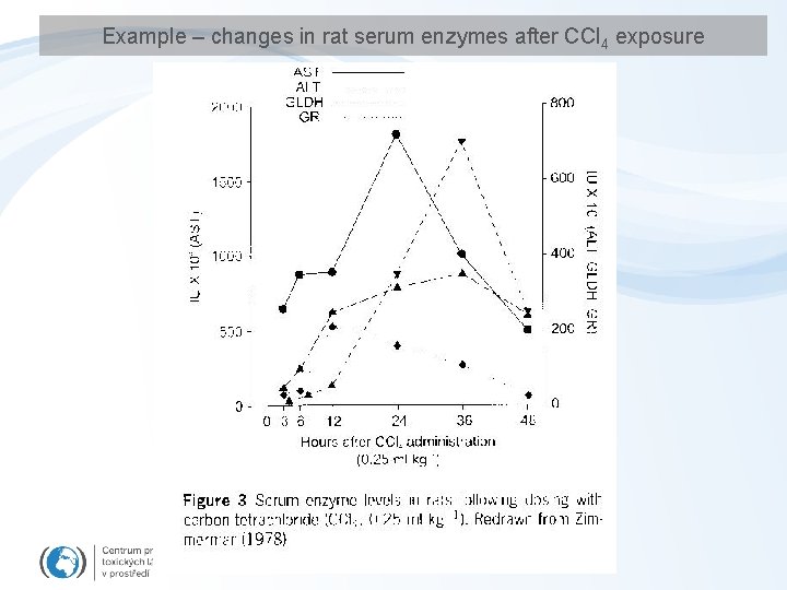 Example – changes in rat serum enzymes after CCl 4 exposure 