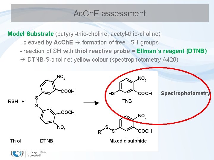Ac. Ch. E assessment Model Substrate (butyryl-thio-choline, acetyl-thio-choline) - cleaved by Ac. Ch. E