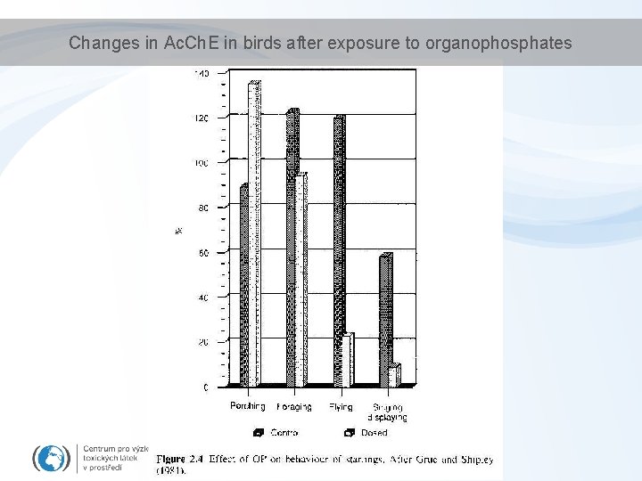 Changes in Ac. Ch. E in birds after exposure to organophosphates 